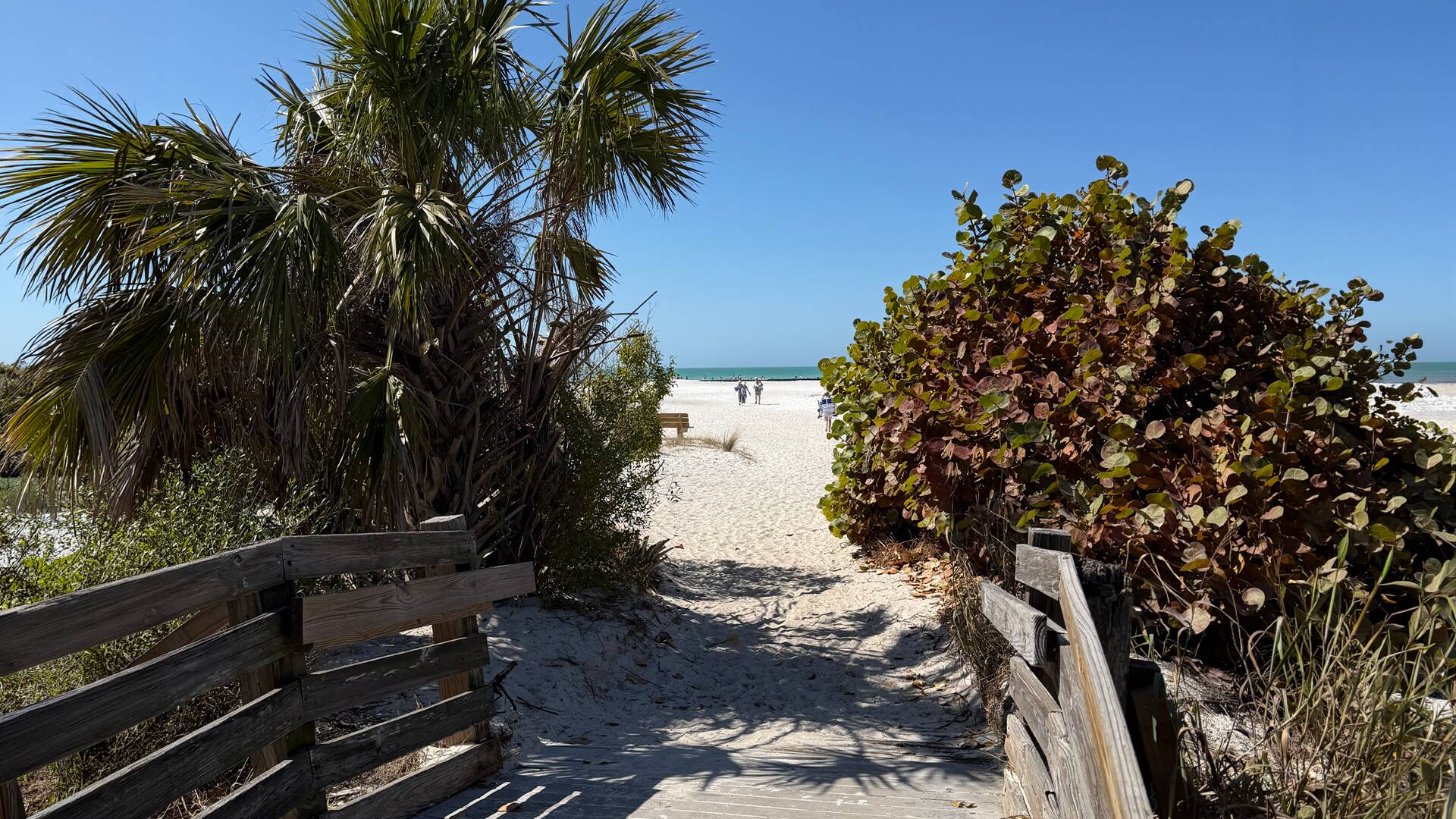 A sandy boardwalk path lined with palms and sea grapes leading to a white Gulf Coast beach
