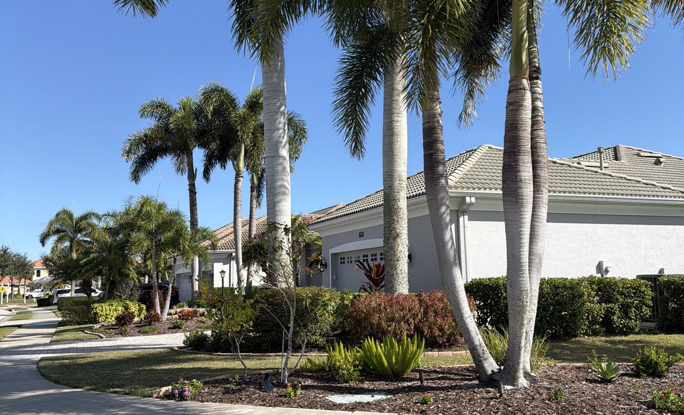 Palm-lined residential street in Lakewood Ranch